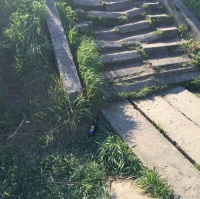 schody-prowadzace-w-strone-budynku-czartoria-5-i-nowego-parku-w-starym-korycie-warty-powinny-zostac-wyremontowane-w-pierwszej-kolejnosci-3
